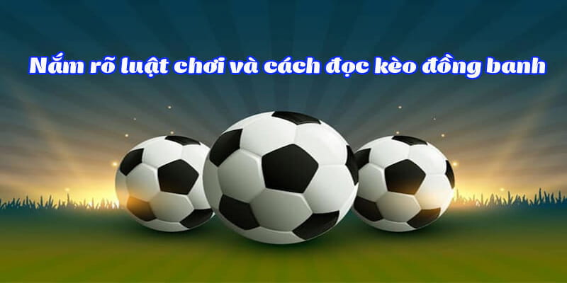 Chiến thuật hiệu quả khi tham gia Chấp đồng banh kèo bóng đá