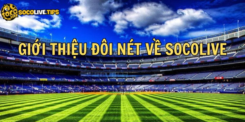 Socolive Mẹo cược an toàn và hiệu quả khi chơi trên Socolive