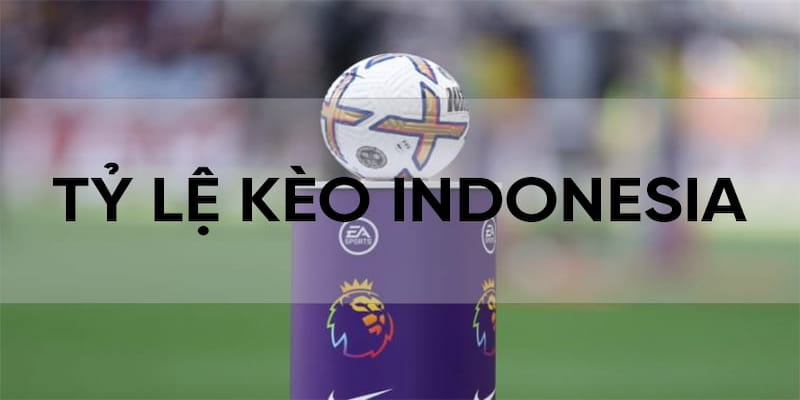 Tổng quan về Tỷ lệ cược Indonesia trong cá cược bóng đá