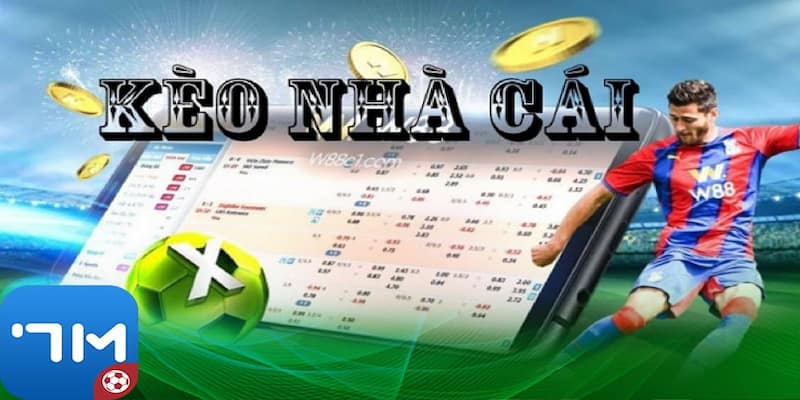 Tổng quan về nền tảng 7m trong kèo bóng đá